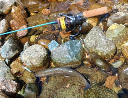 鱒レンジャーを持ってイワナの谷へ